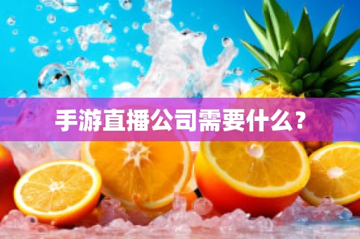 手游直播公司需要什么？