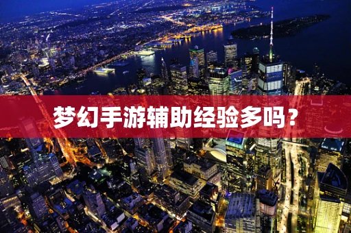 梦幻手游辅助经验多吗？