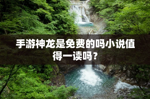 手游神龙是免费的吗小说值得一读吗？
