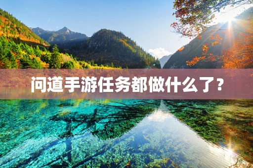 问道手游任务都做什么了？