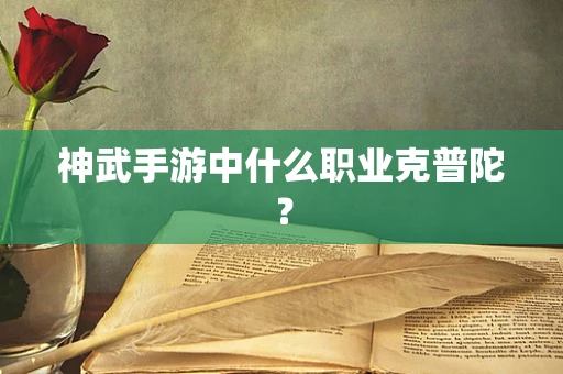 神武手游中什么职业克普陀？