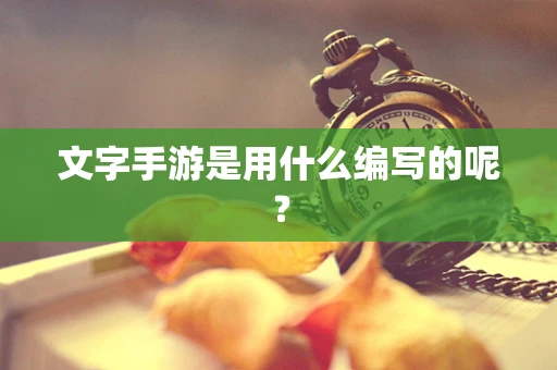 文字手游是用什么编写的呢？