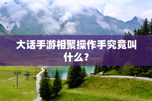 大话手游相聚操作手究竟叫什么？