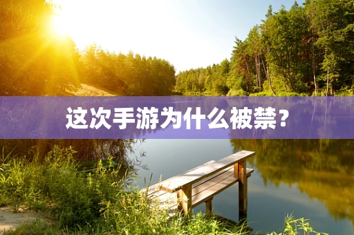 这次手游为什么被禁？
