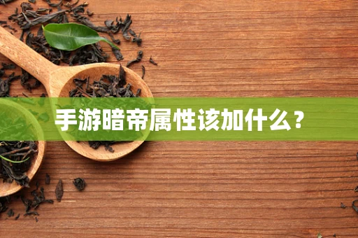 手游暗帝属性该加什么？