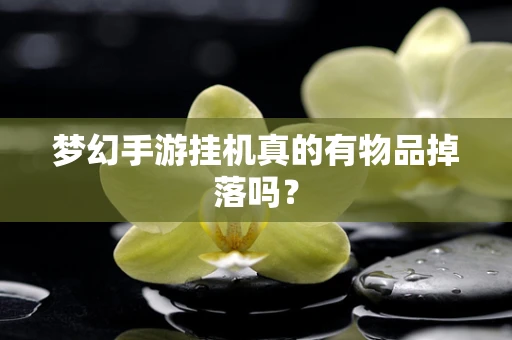 梦幻手游挂机真的有物品掉落吗？