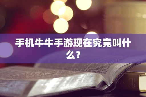 手机牛牛手游现在究竟叫什么？
