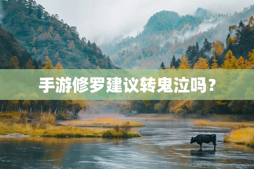 手游修罗建议转鬼泣吗？
