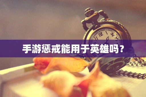 手游惩戒能用于英雄吗？