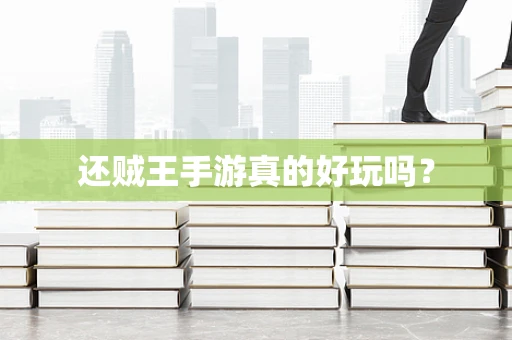 还贼王手游真的好玩吗？
