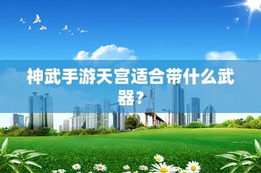 神武手游天宫适合带什么武器？