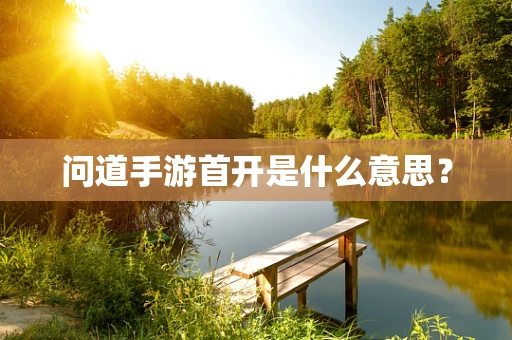 问道手游首开是什么意思？