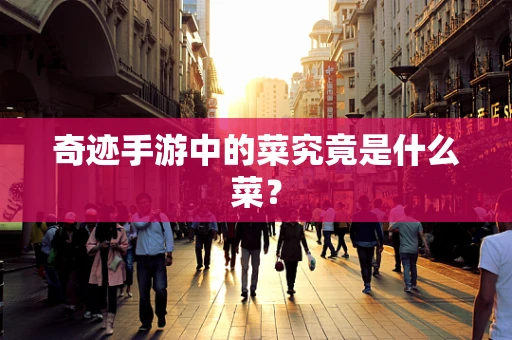 奇迹手游中的菜究竟是什么菜？