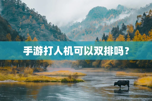 手游打人机可以双排吗？