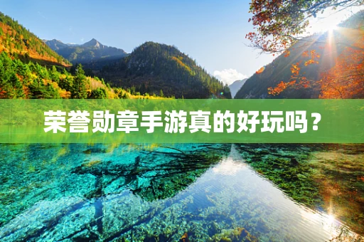 荣誉勋章手游真的好玩吗？