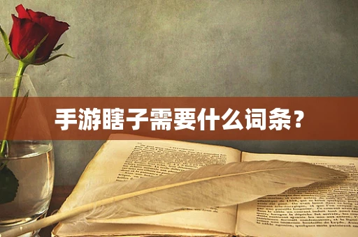 手游瞎子需要什么词条？