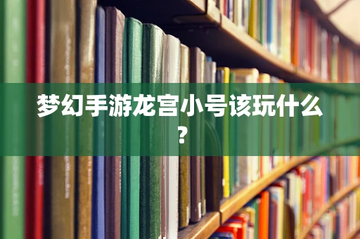 梦幻手游龙宫小号该玩什么？