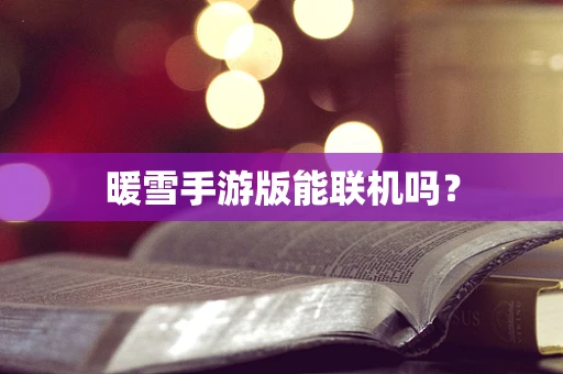 暖雪手游版能联机吗？