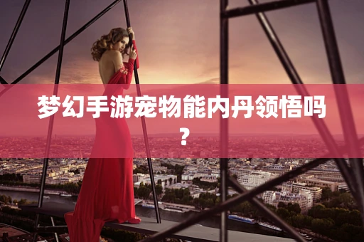 梦幻手游宠物能内丹领悟吗？