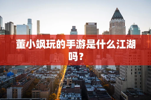 董小飒玩的手游是什么江湖吗？