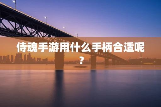 侍魂手游用什么手柄合适呢？