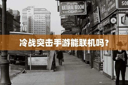 冷战突击手游能联机吗？