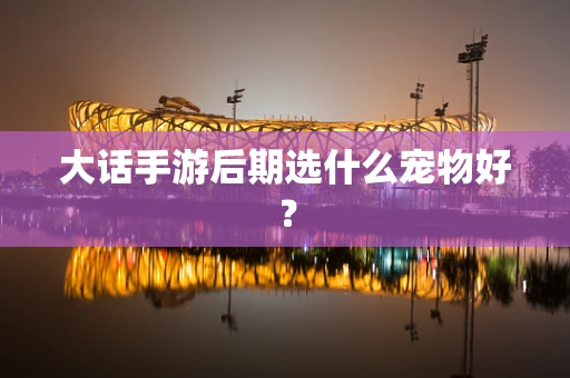 大话手游后期选什么宠物好？