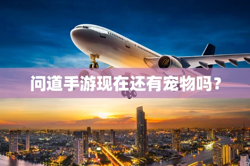 问道手游现在还有宠物吗？