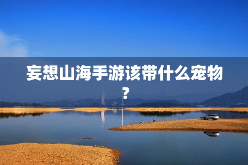妄想山海手游该带什么宠物？