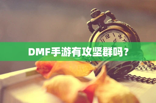 DMF手游有攻坚群吗？