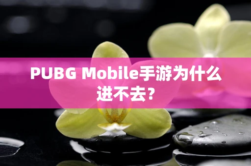 PUBG Mobile手游为什么进不去？