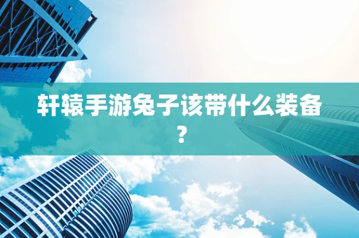 轩辕手游兔子该带什么装备？
