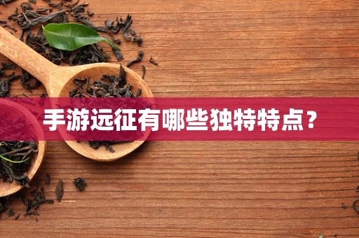 手游远征有哪些独特特点？