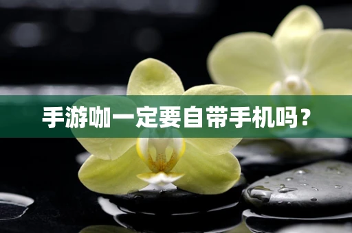 手游咖一定要自带手机吗？