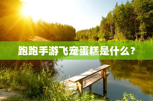 跑跑手游飞宠蛋糕是什么？