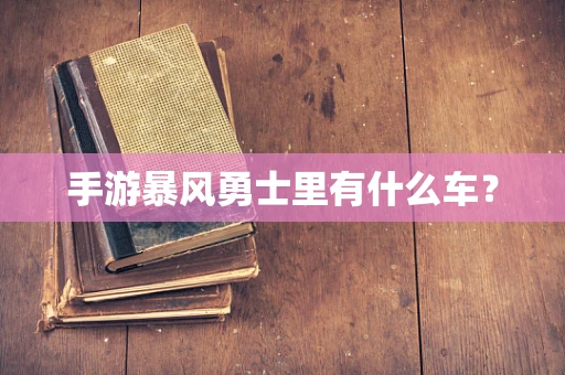 手游暴风勇士里有什么车？