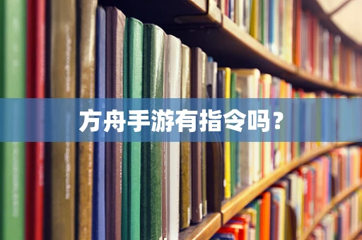 方舟手游有指令吗？