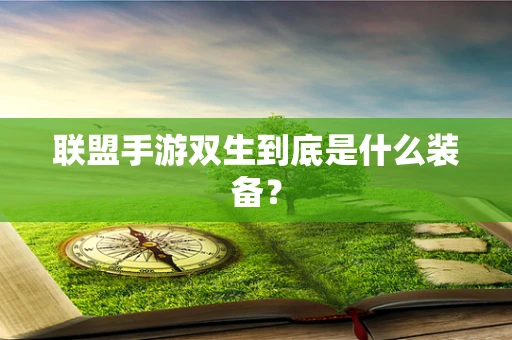 联盟手游双生到底是什么装备？