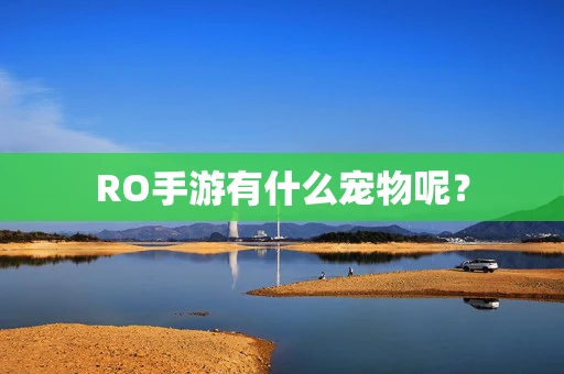 RO手游有什么宠物呢？