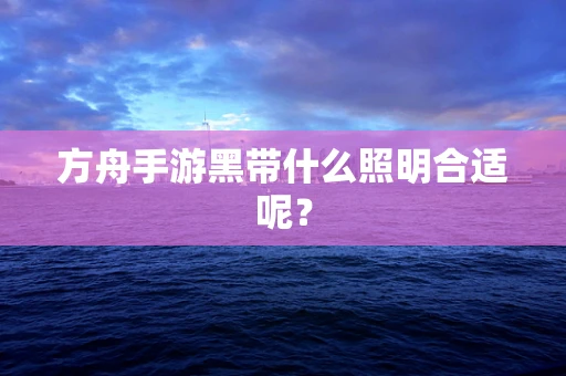 方舟手游黑带什么照明合适呢？