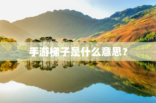 手游梯子是什么意思？