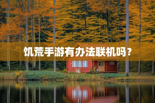 饥荒手游有办法联机吗？