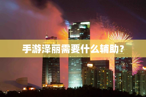 手游泽丽需要什么辅助？