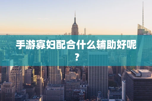 手游寡妇配合什么辅助好呢？
