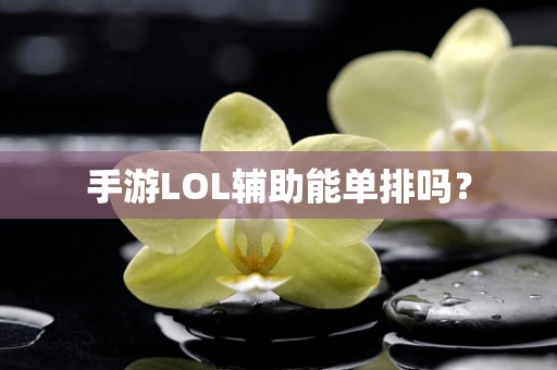 手游LOL辅助能单排吗？