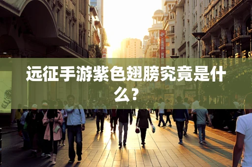 远征手游紫色翅膀究竟是什么？