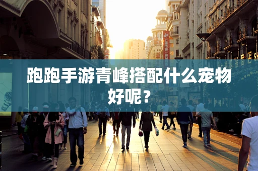跑跑手游青峰搭配什么宠物好呢？