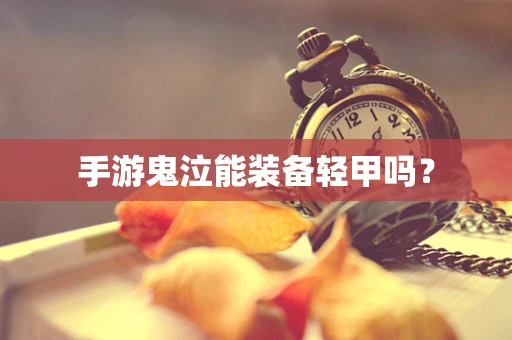 手游鬼泣能装备轻甲吗？