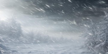 暴雪为什么没手游？