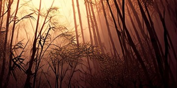 火影手游漂泊音乐究竟是什么？